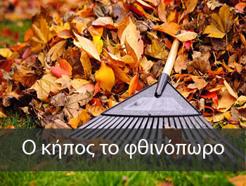 viologiki-fytoprostasia